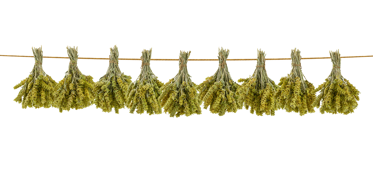 0406 dry herbs